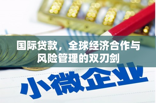 项城国际贷款，全球经济合作与风险管理的双刃剑