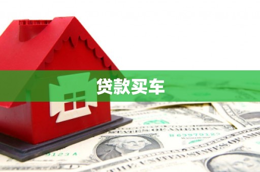 项城贷款买车