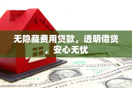 项城无隐藏费用贷款，透明借贷，安心无忧