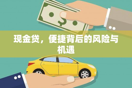 项城现金贷，便捷背后的风险与机遇