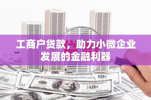 项城工商户贷款，助力小微企业发展的金融利器