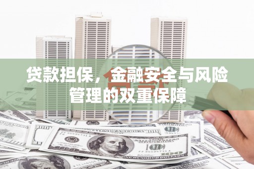 项城贷款担保，金融安全与风险管理的双重保障