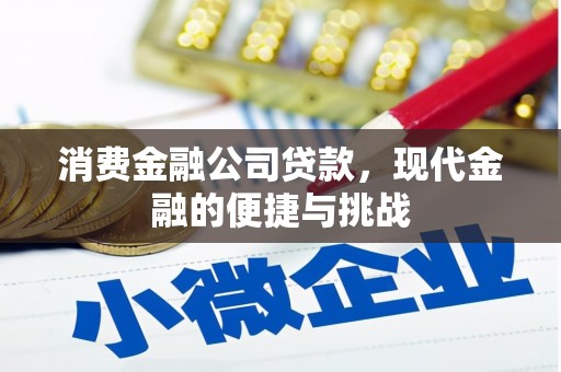 项城消费金融公司贷款，现代金融的便捷与挑战