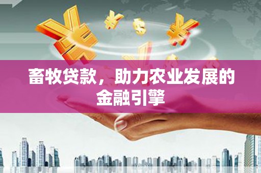 项城畜牧贷款，助力农业发展的金融引擎
