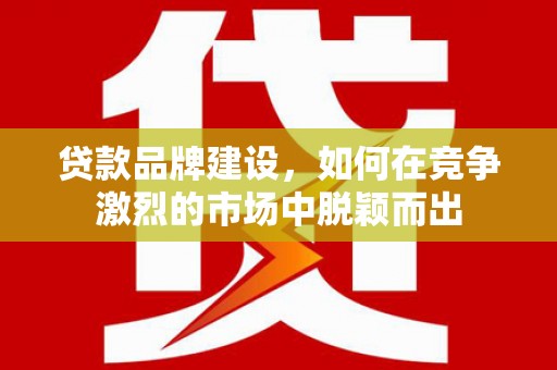 项城贷款品牌建设，如何在竞争激烈的市场中脱颖而出