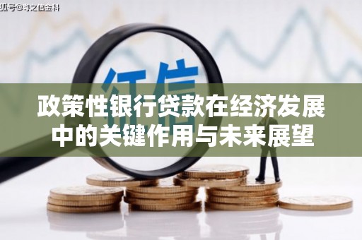 项城政策性银行贷款在经济发展中的关键作用与未来展望