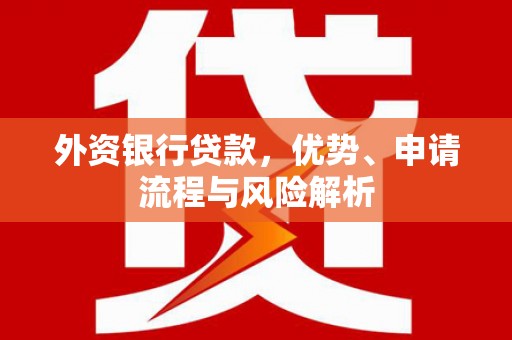 项城外资银行贷款，优势、申请流程与风险解析