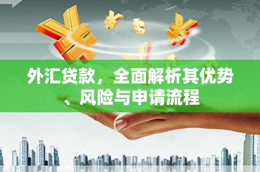 项城外汇贷款，全面解析其优势、风险与申请流程