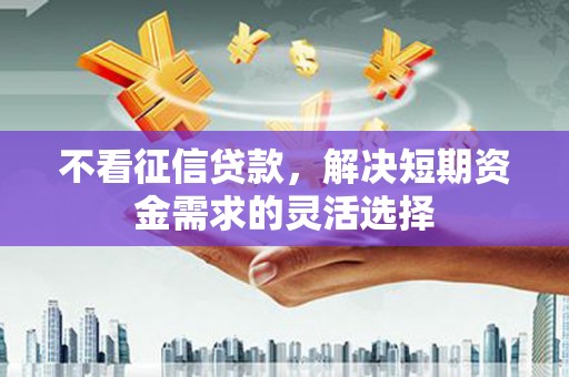项城不看征信贷款，解决短期资金需求的灵活选择