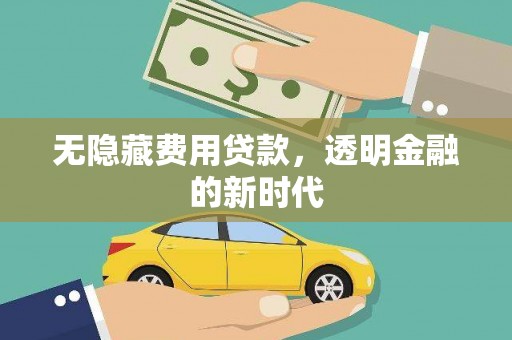 项城无隐藏费用贷款，透明金融的新时代