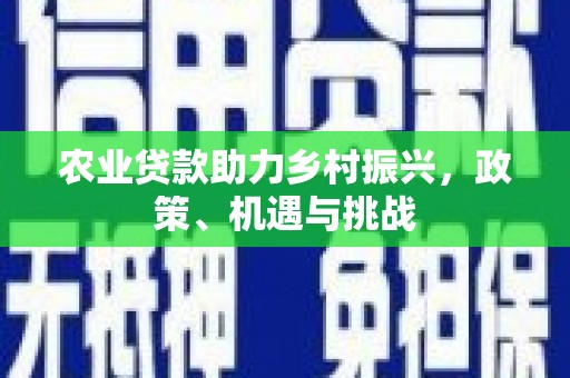 项城农业贷款助力乡村振兴，政策、机遇与挑战
