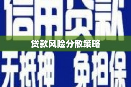 项城贷款风险分散策略