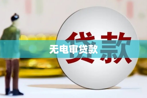 项城无电审贷款