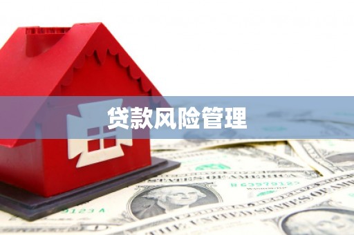 项城贷款风险管理