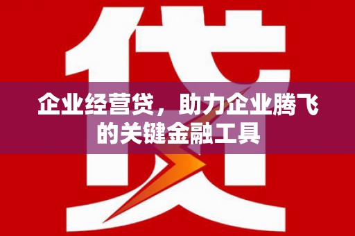 项城企业经营贷，助力企业腾飞的关键金融工具