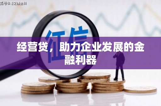 项城经营贷，助力企业发展的金融利器