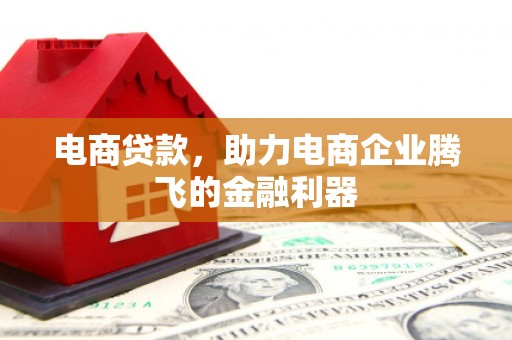 项城电商贷款，助力电商企业腾飞的金融利器