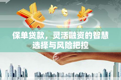 项城保单贷款，灵活融资的智慧选择与风险把控