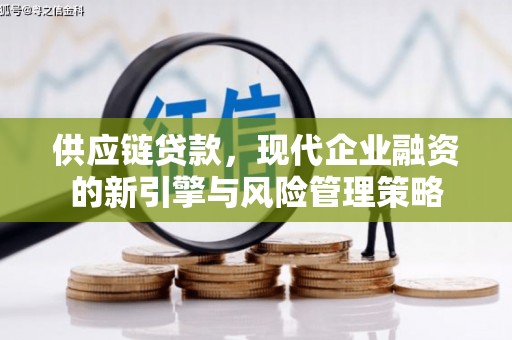 项城供应链贷款，现代企业融资的新引擎与风险管理策略