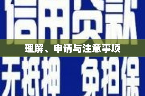 项城理解、申请与注意事项
