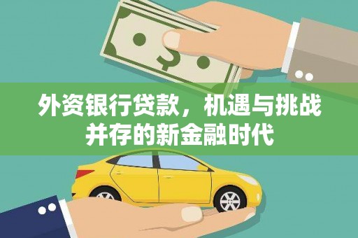 项城外资银行贷款，机遇与挑战并存的新金融时代