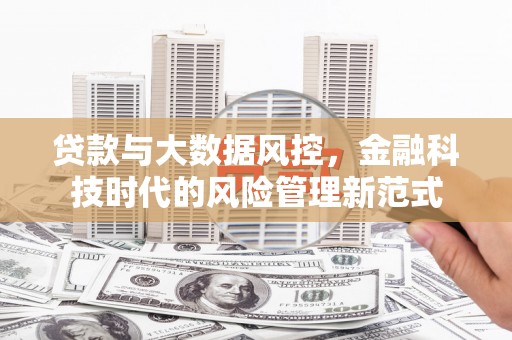 项城贷款与大数据风控，金融科技时代的风险管理新范式