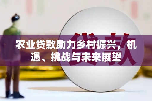 项城农业贷款助力乡村振兴，机遇、挑战与未来展望