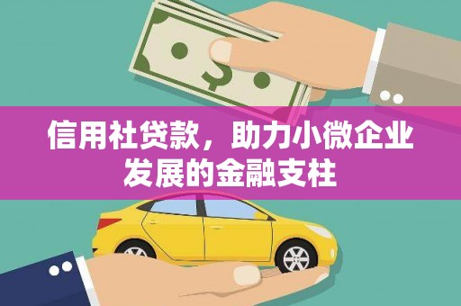 项城信用社贷款，助力小微企业发展的金融支柱