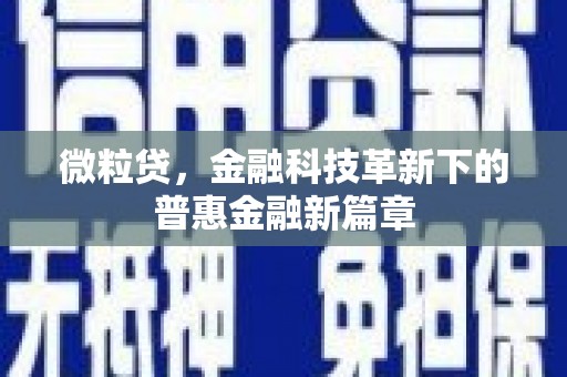 项城微粒贷，金融科技革新下的普惠金融新篇章