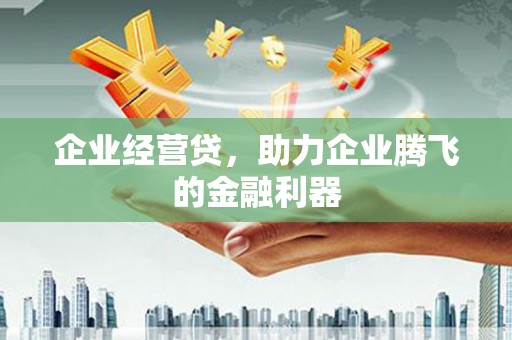 项城企业经营贷，助力企业腾飞的金融利器