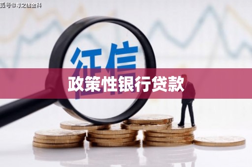 项城政策性银行贷款