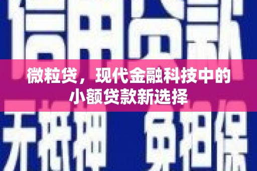 项城微粒贷，现代金融科技中的小额贷款新选择