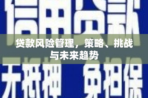 项城贷款风险管理，策略、挑战与未来趋势