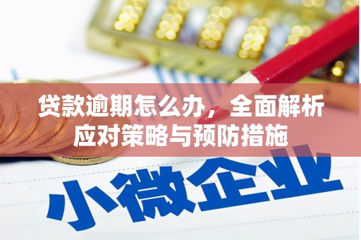 项城贷款逾期怎么办，全面解析应对策略与预防措施