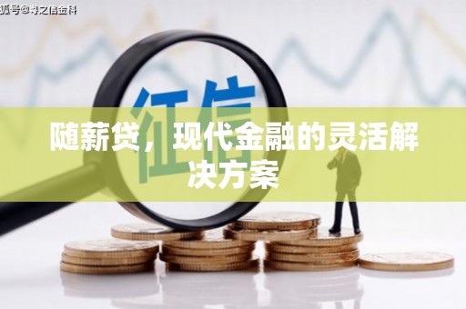 项城随薪贷，现代金融的灵活解决方案