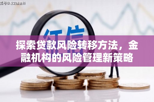 项城探索贷款风险转移方法，金融机构的风险管理新策略