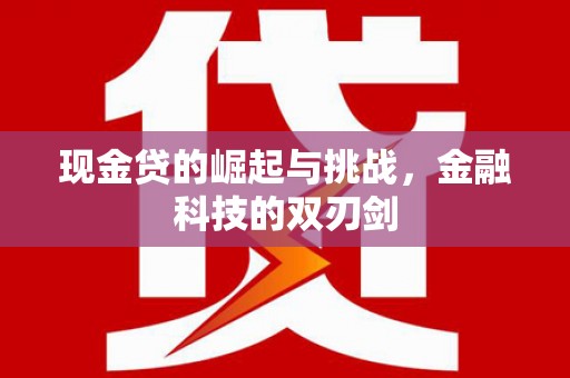 项城现金贷的崛起与挑战，金融科技的双刃剑