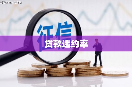 项城贷款违约率