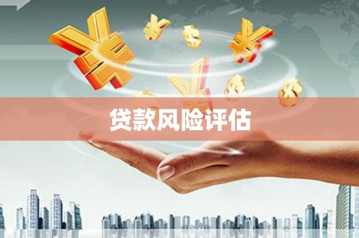 项城贷款风险评估