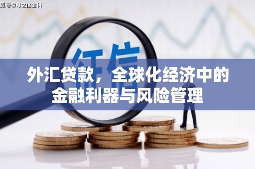 项城外汇贷款，全球化经济中的金融利器与风险管理