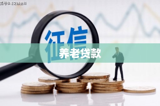 项城养老贷款