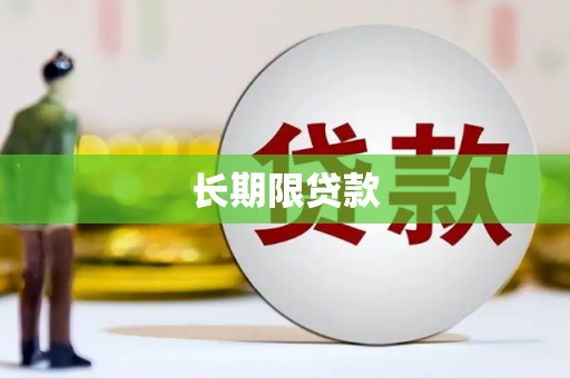 项城长期限贷款