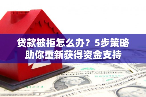 项城贷款被拒怎么办？5步策略助你重新获得资金支持