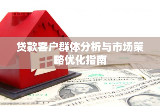 项城贷款客户群体分析与市场策略优化指南