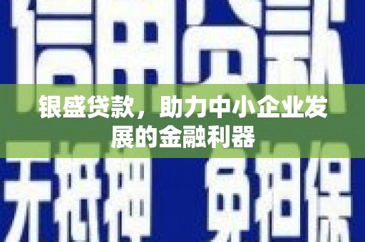 项城银盛贷款，助力中小企业发展的金融利器