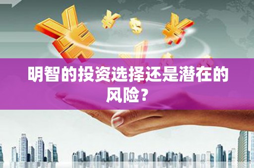 项城明智的投资选择还是潜在的风险？