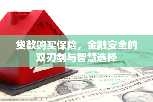 项城贷款购买保险，金融安全的双刃剑与智慧选择