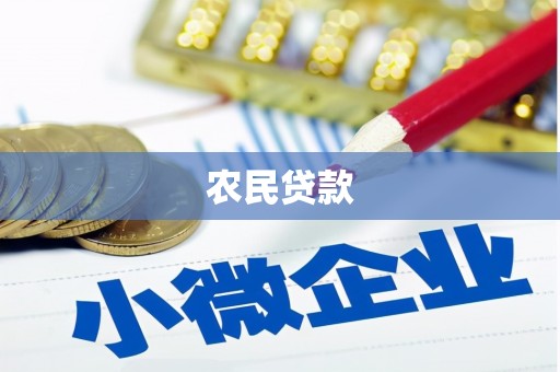 项城农民贷款