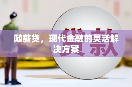项城随薪贷，现代金融的灵活解决方案
