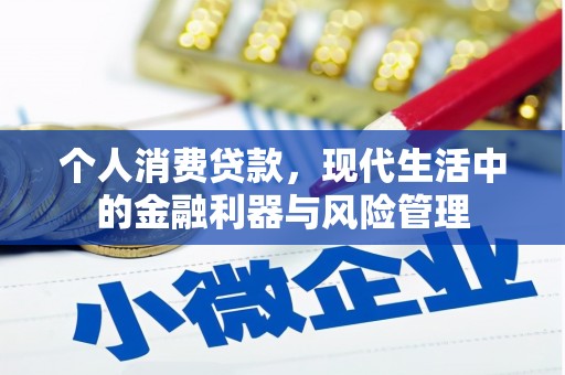 项城个人消费贷款，现代生活中的金融利器与风险管理